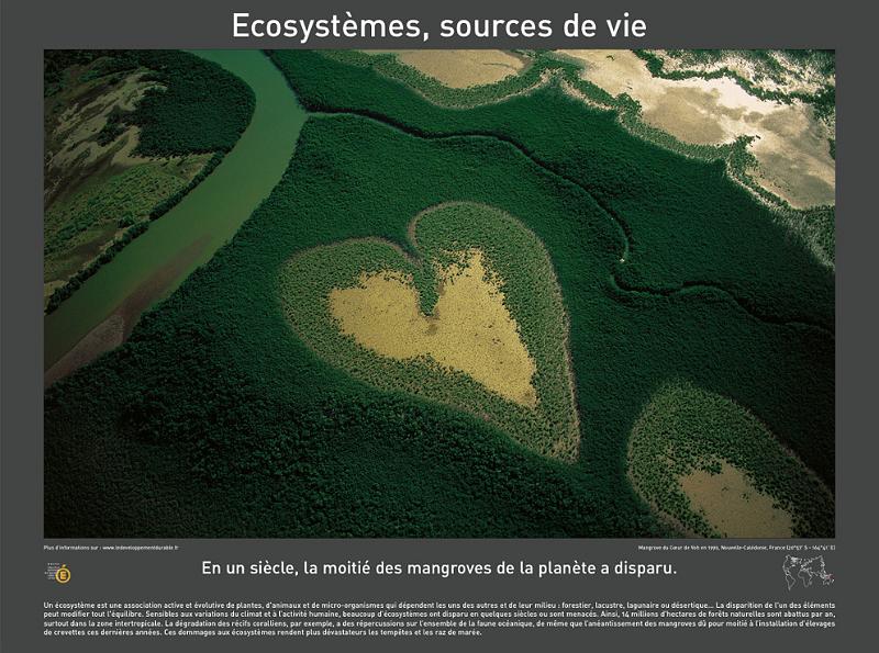 P2006 06 ecosystemes 